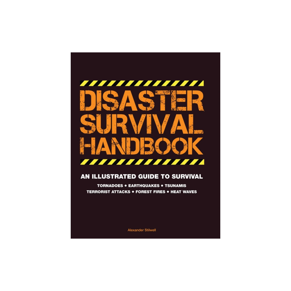 Produktbild för Disaster Survival Handbook (häftad, eng)