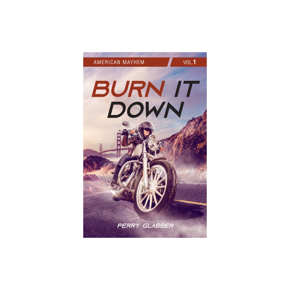 Produktbild för Burn It Down (häftad, eng)