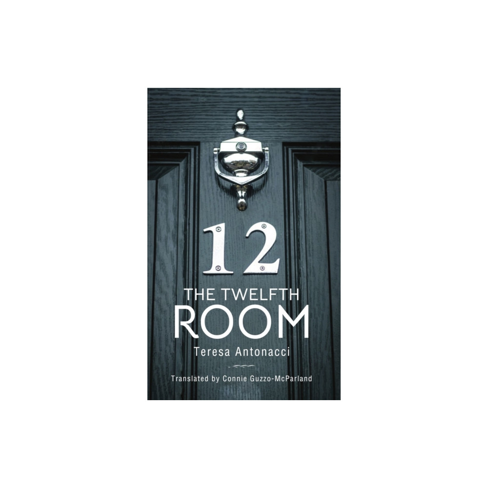 Produktbild för The Twelfth Room (häftad, eng)