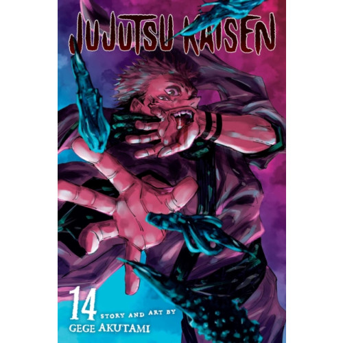Viz Media, Subs. of Shogakukan Inc Jujutsu Kaisen, Vol. 14 (häftad, eng)
