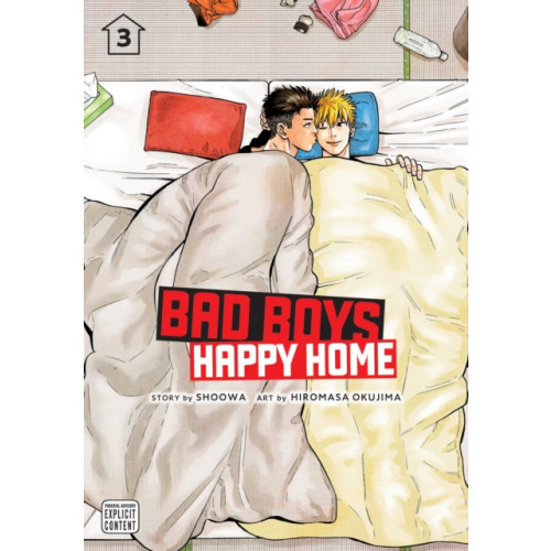 Viz Media, Subs. of Shogakukan Inc Bad Boys, Happy Home, Vol. 3 (häftad, eng)