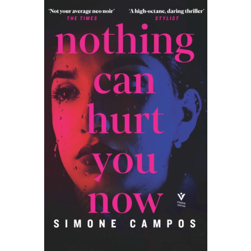 Pushkin Press Nothing Can Hurt You Now (häftad, eng)