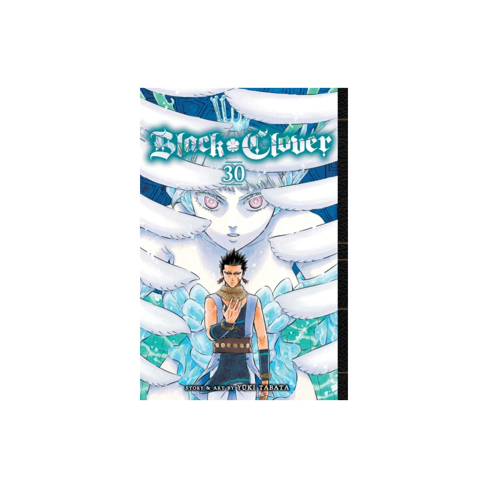Produktbild för Black Clover, Vol. 30 (häftad, eng)