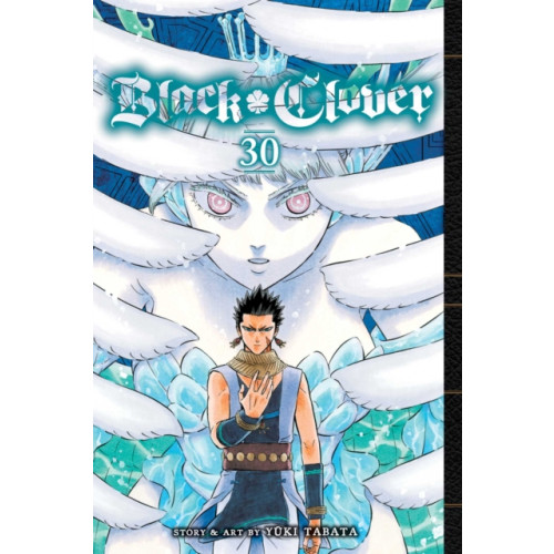 Viz Media, Subs. of Shogakukan Inc Black Clover, Vol. 30 (häftad, eng)