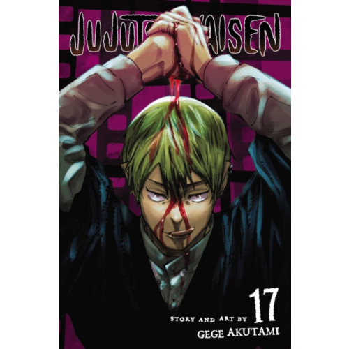 Viz Media, Subs. of Shogakukan Inc Jujutsu Kaisen, Vol. 17 (häftad, eng)