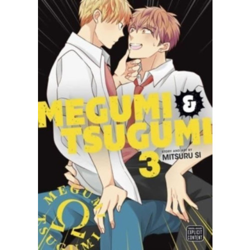 Viz Media, Subs. of Shogakukan Inc Megumi & Tsugumi, Vol. 3 (häftad, eng)