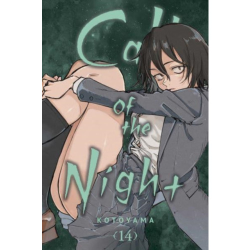 Viz Media, Subs. of Shogakukan Inc Call of the Night, Vol. 14 (häftad, eng)