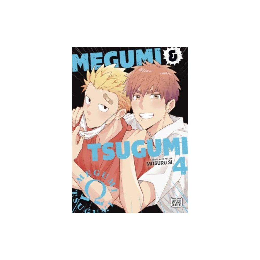 Produktbild för Megumi & Tsugumi, Vol. 4 (häftad, eng)