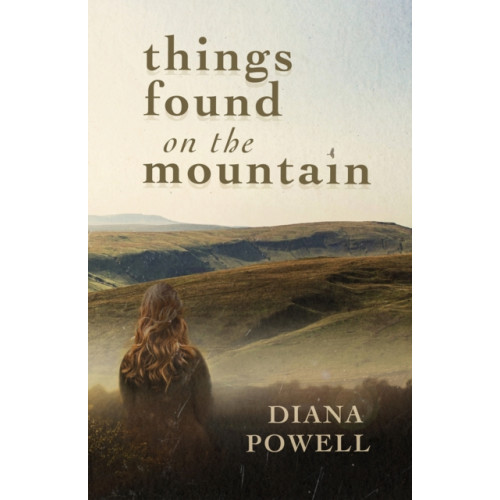Poetry Wales Press Things Found on the Mountain (häftad, eng)
