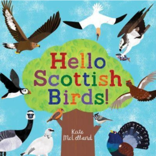 Floris Books Hello Scottish Birds (häftad, eng)