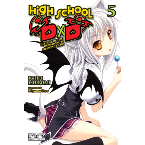 Little, Brown & Company High School DxD, Vol. 5 (light novel) (häftad, eng)