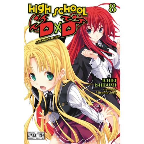 Little, Brown & Company High School DxD, Vol. 8 (light novel) (häftad, eng)