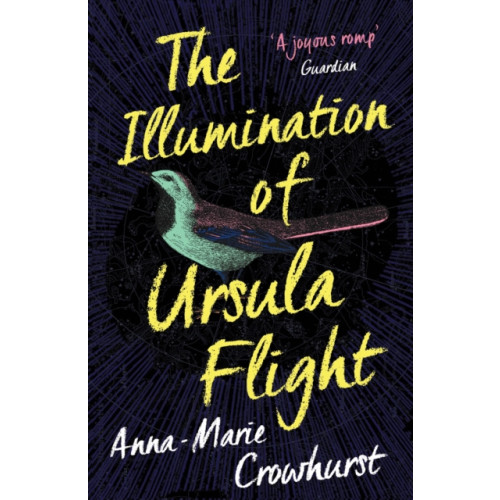 Allen & Unwin The Illumination of Ursula Flight (häftad)