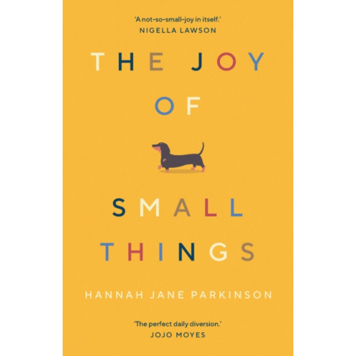 Guardian Faber Publishing The Joy of Small Things (häftad, eng)