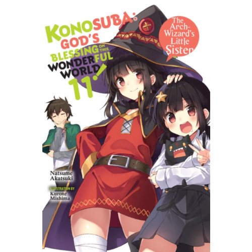 Little, Brown & Company Konosuba: God's Blessing on This Wonderful World!, Vol. 11 (light novel) (häftad, eng)