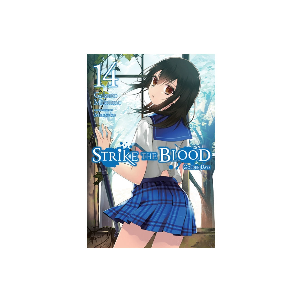 Produktbild för Strike the Blood, Vol. 14 (light novel) (häftad, eng)