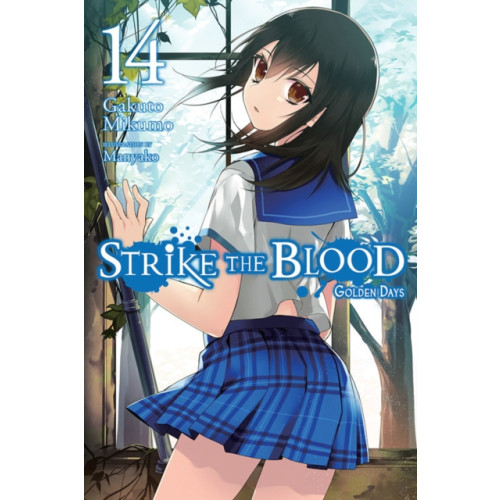 Little, Brown & Company Strike the Blood, Vol. 14 (light novel) (häftad, eng)