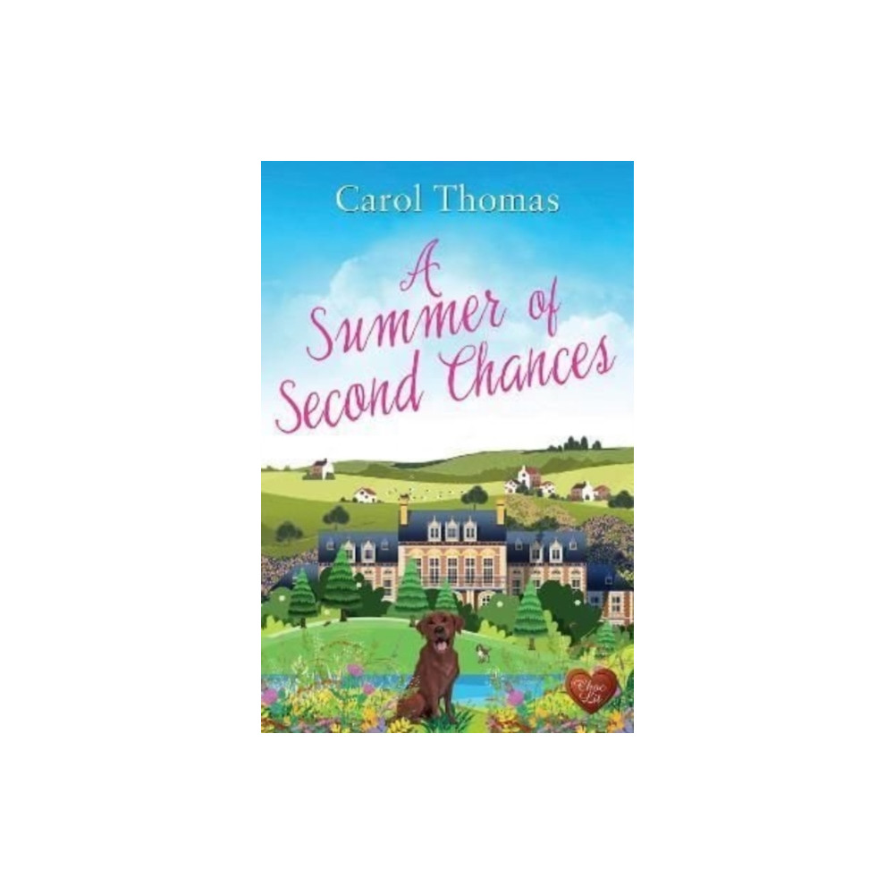 Produktbild för A Summer of Second Chances (häftad, eng)