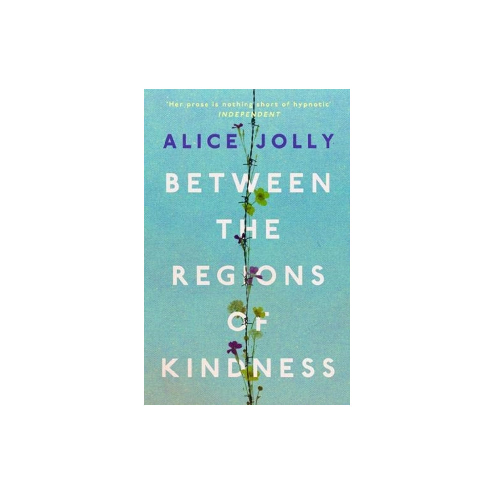 Produktbild för Between the Regions of Kindness (häftad, eng)