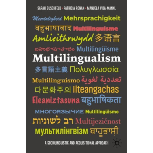 Springer International Publishing AG Multilingualism (häftad, eng)