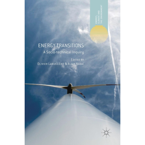 Springer International Publishing AG Energy Transitions (inbunden, eng)