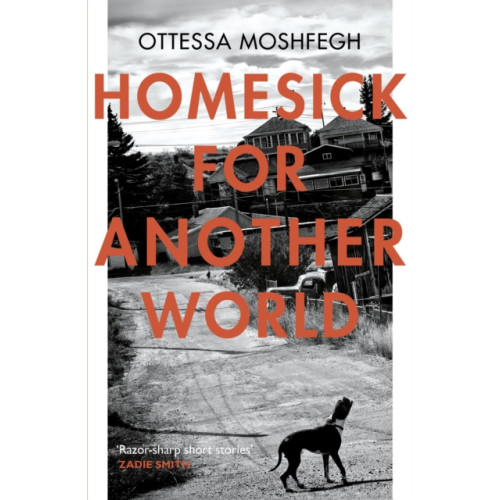 Vintage Publishing Homesick For Another World (häftad, eng)