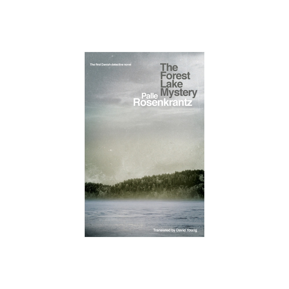 Produktbild för The Forest Lake Mystery (häftad, eng)