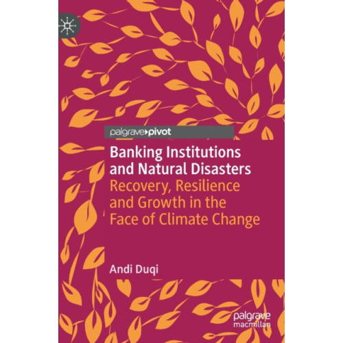 Springer International Publishing AG Banking Institutions and Natural Disasters (inbunden, eng)