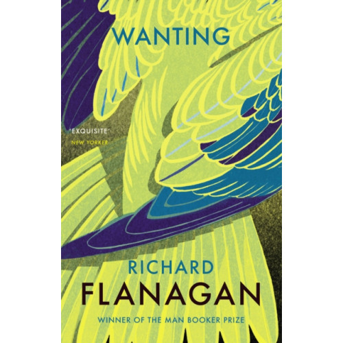 Vintage Publishing Wanting (häftad, eng)