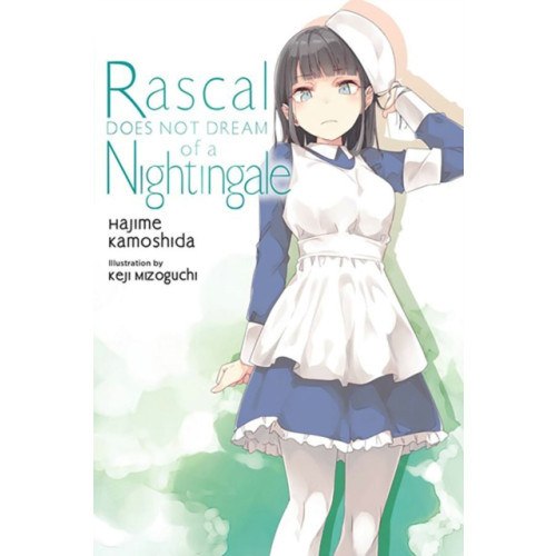 Little, Brown & Company Rascal Does Not Dream of a Nightingale (light novel) (häftad, eng)