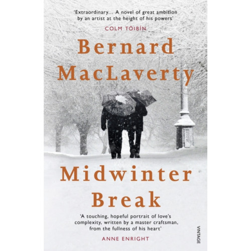 Vintage Publishing Midwinter Break (häftad, eng)