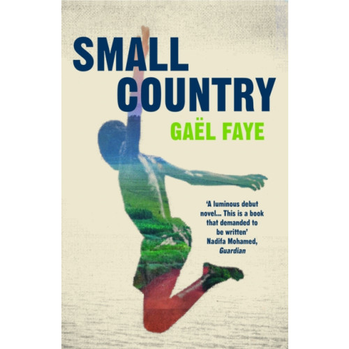 Vintage Publishing Small Country (häftad, eng)