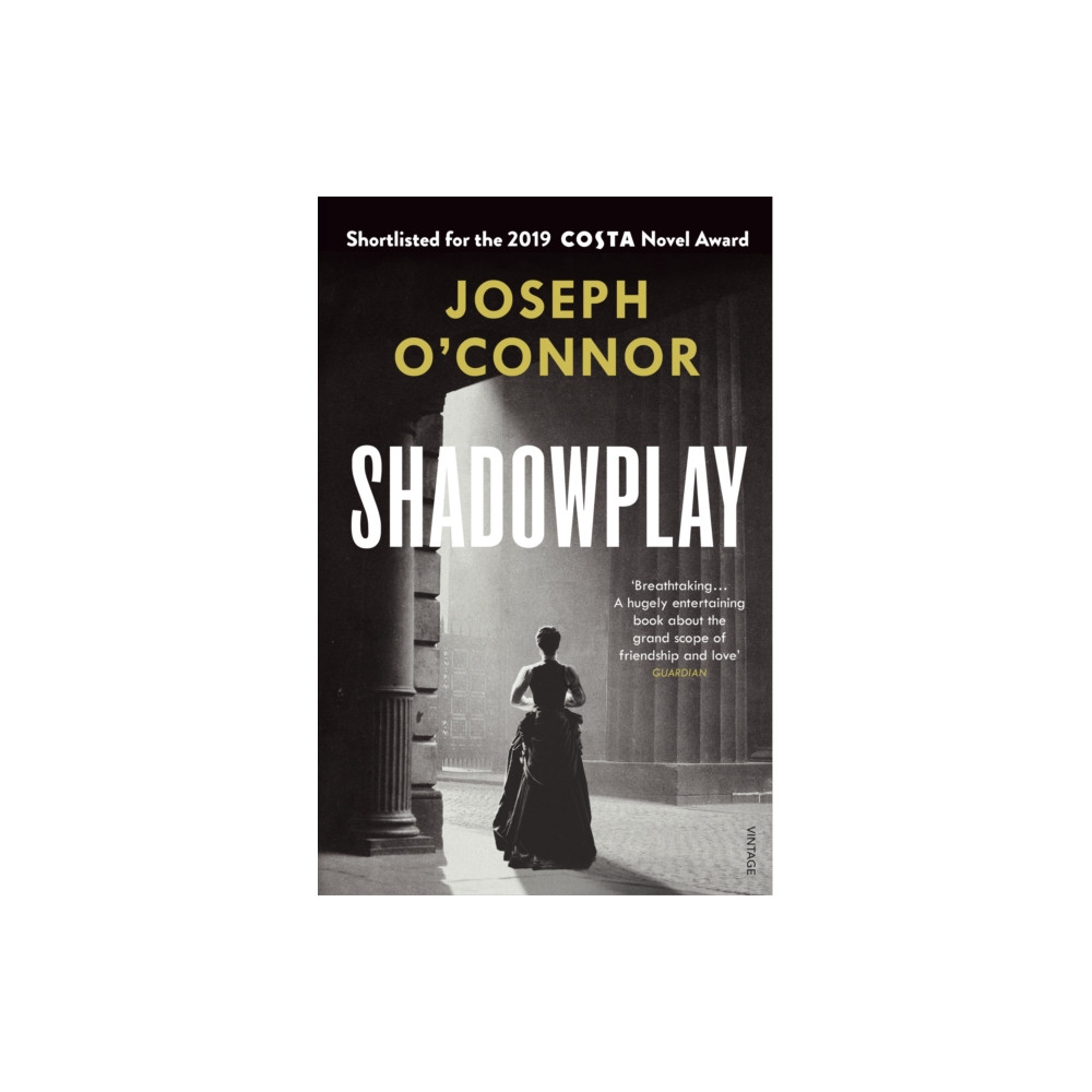 Produktbild för Shadowplay (häftad, eng)