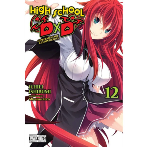 Little, Brown & Company High School DxD, Vol. 12 (light novel) (häftad, eng)