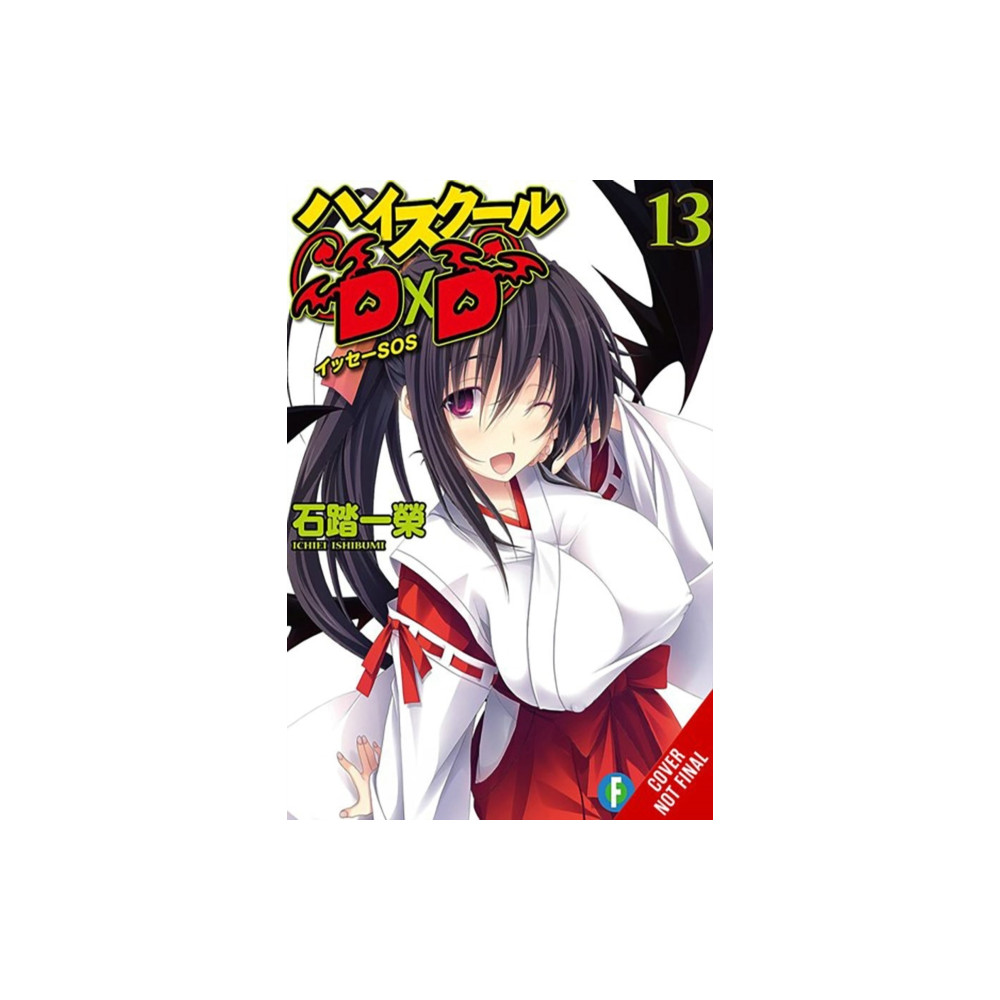 Produktbild för High School DxD, Vol. 13 (light novel) (häftad, eng)