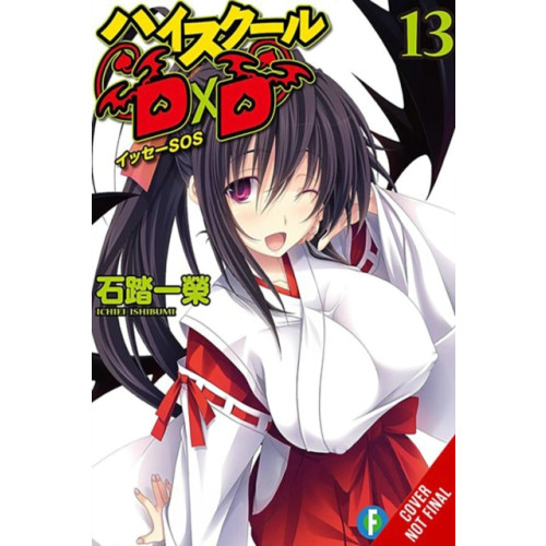 Little, Brown & Company High School DxD, Vol. 13 (light novel) (häftad, eng)