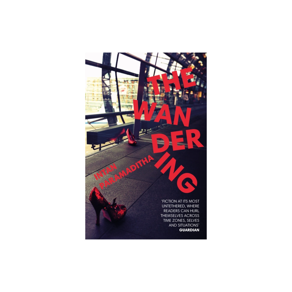 Produktbild för The Wandering (häftad, eng)