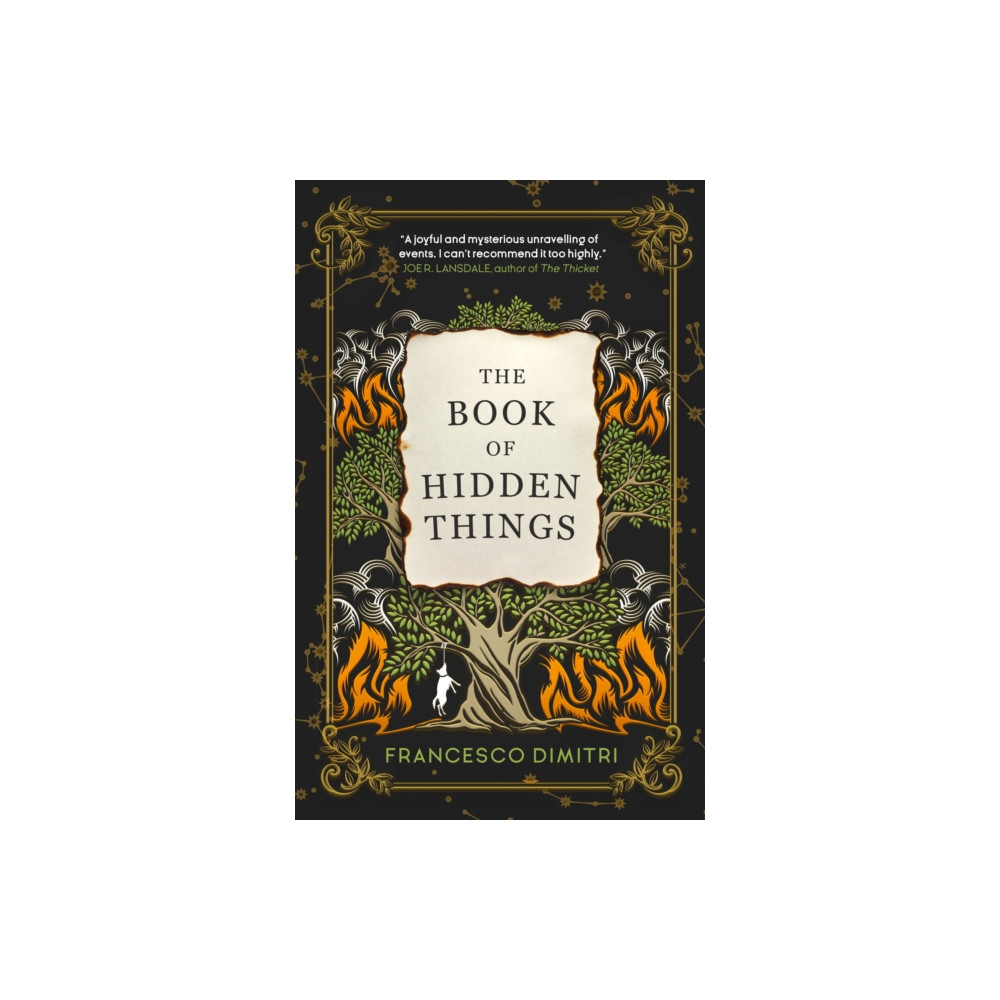 Produktbild för The Book of Hidden Things (häftad, eng)