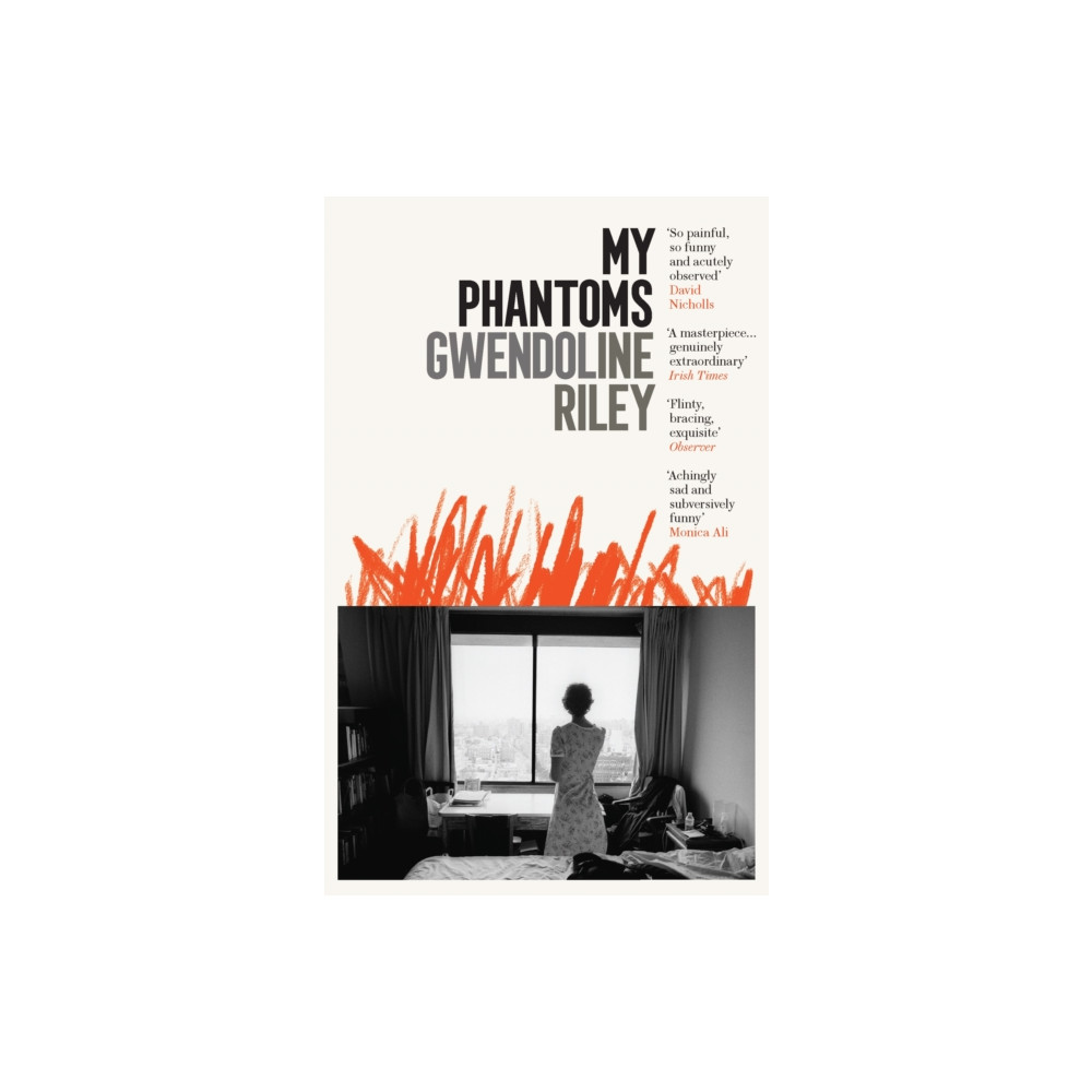 Produktbild för My Phantoms (häftad, eng)