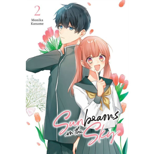 Little, Brown & Company Sunbeams in the Sky, Vol. 2 (häftad, eng)