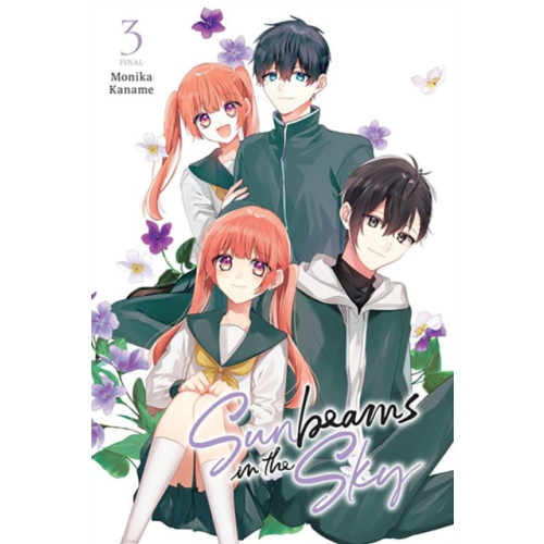 Little, Brown & Company Sunbeams in the Sky, Vol. 3 (häftad, eng)