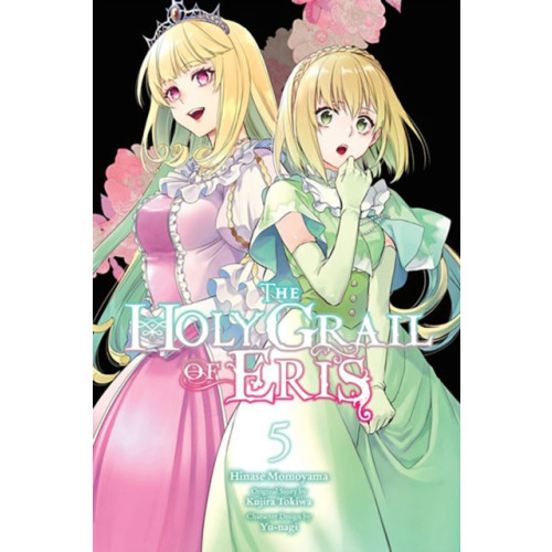 Little, Brown & Company The Holy Grail of Eris, Vol. 5 (manga) (häftad, eng)