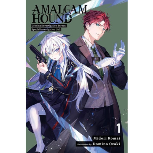 Little, Brown & Company Amalgam Hound, Vol. 1 (häftad, eng)