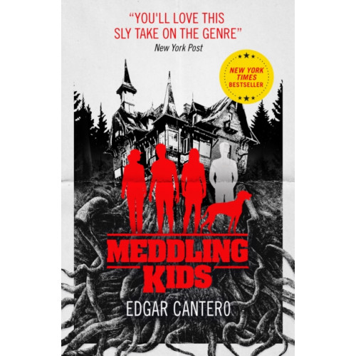 Titan Books Ltd Meddling Kids (häftad, eng)