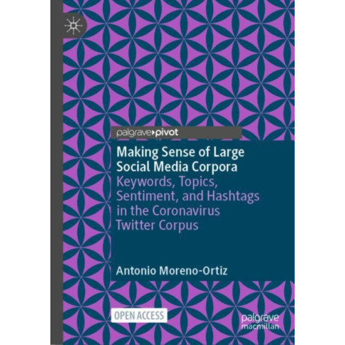 Springer International Publishing AG Making Sense of Large Social Media Corpora (inbunden, eng)