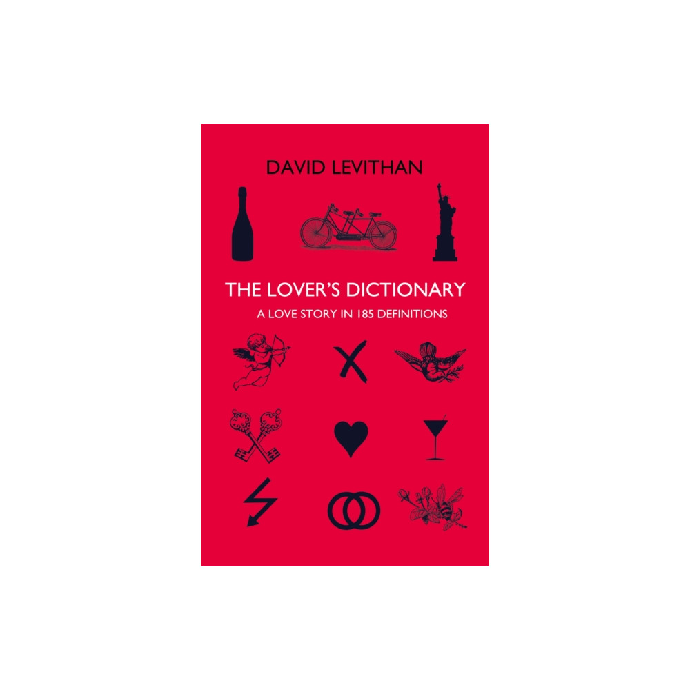 Produktbild för The Lover’s Dictionary (häftad, eng)
