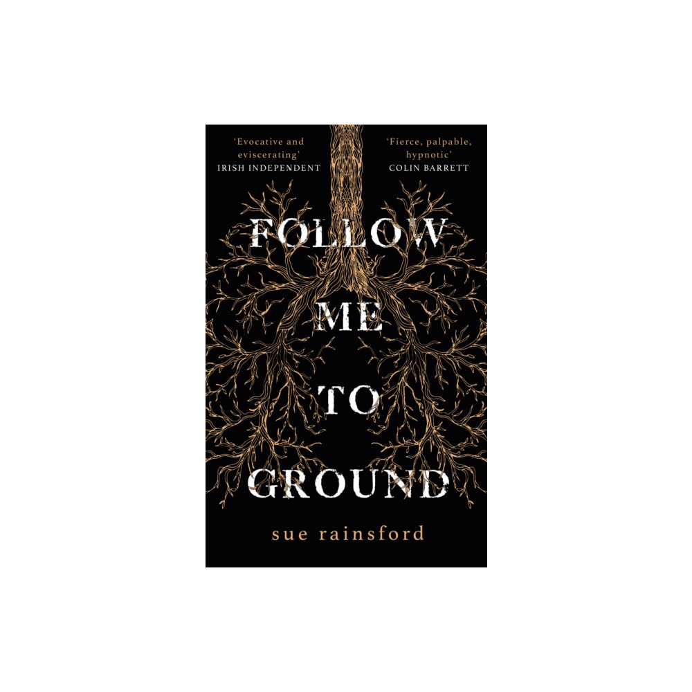 Produktbild för Follow Me To Ground (häftad, eng)