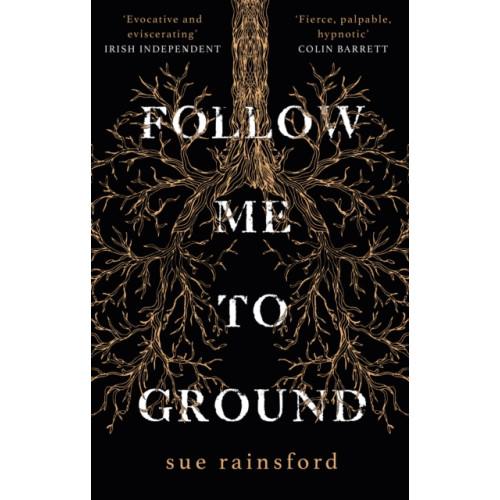 Transworld publishers ltd Follow Me To Ground (häftad, eng)