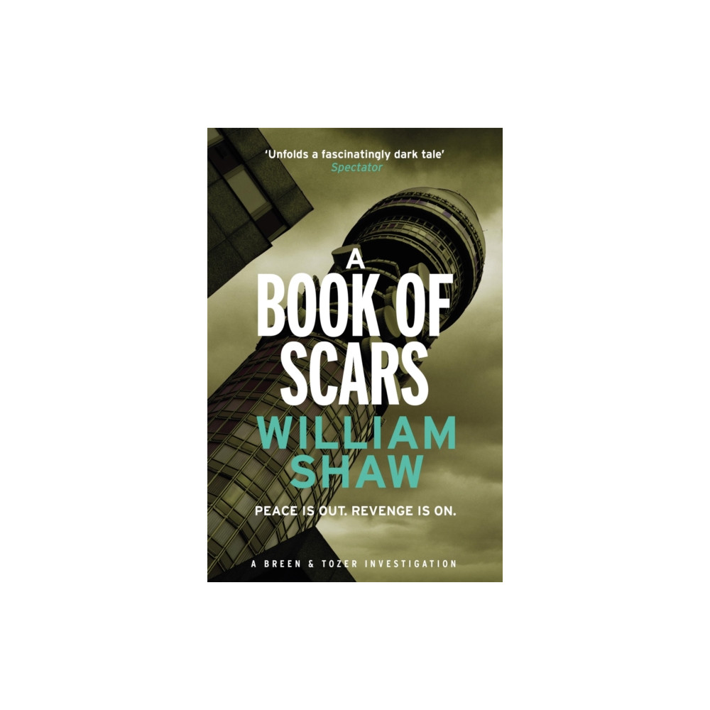 Produktbild för A Book of Scars (häftad, eng)