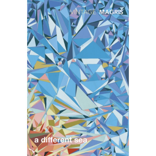 Vintage Publishing A Different Sea (häftad, eng)